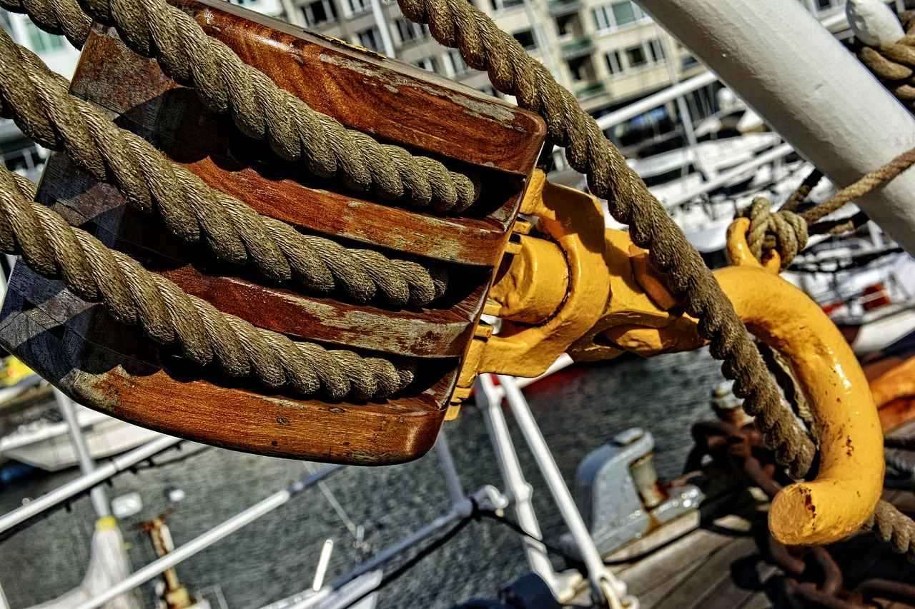 Sahte ehliyetin sosyal etkileri