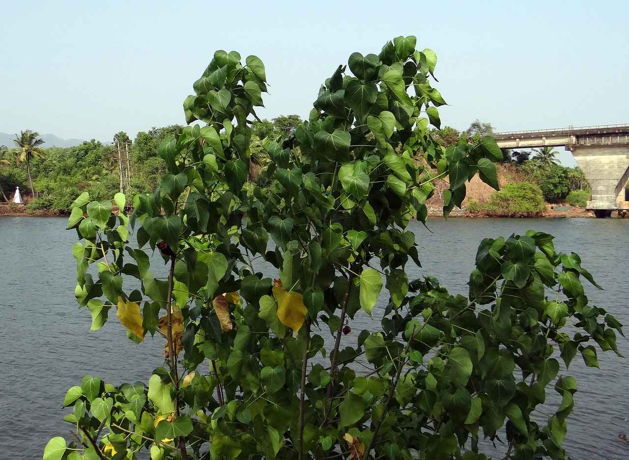 Sahte para kullanmanın cezası nedir? 4 Sahte Para ile Mücadele Yöntemleri