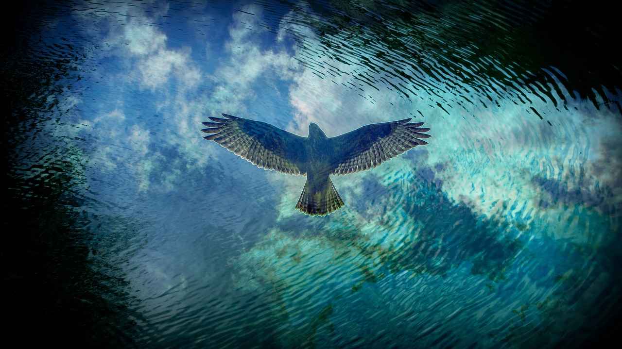 Şiddet gören eşin boşanma davası açarken dikkat etmesi gerekenler nelerdir? Şiddet gören eşin boşanma davası açarken dikkat etmesi gerekenler nelerdir?