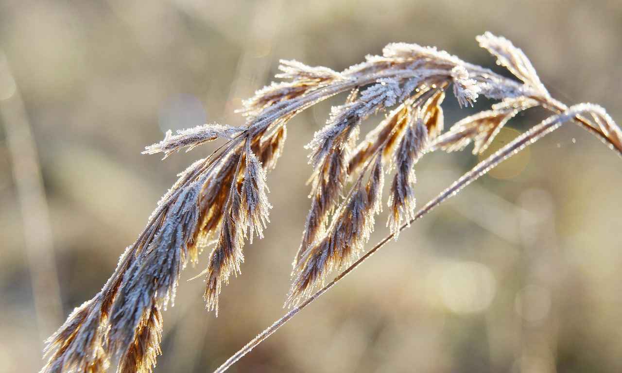 Stalking (ısrarlı takip) suçu var mı? Stalking (ısrarlı takip) suçu var mı?