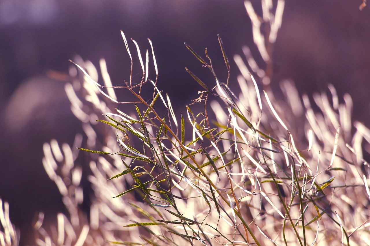 Türkiye'de Stalking Suçunun Tanımı