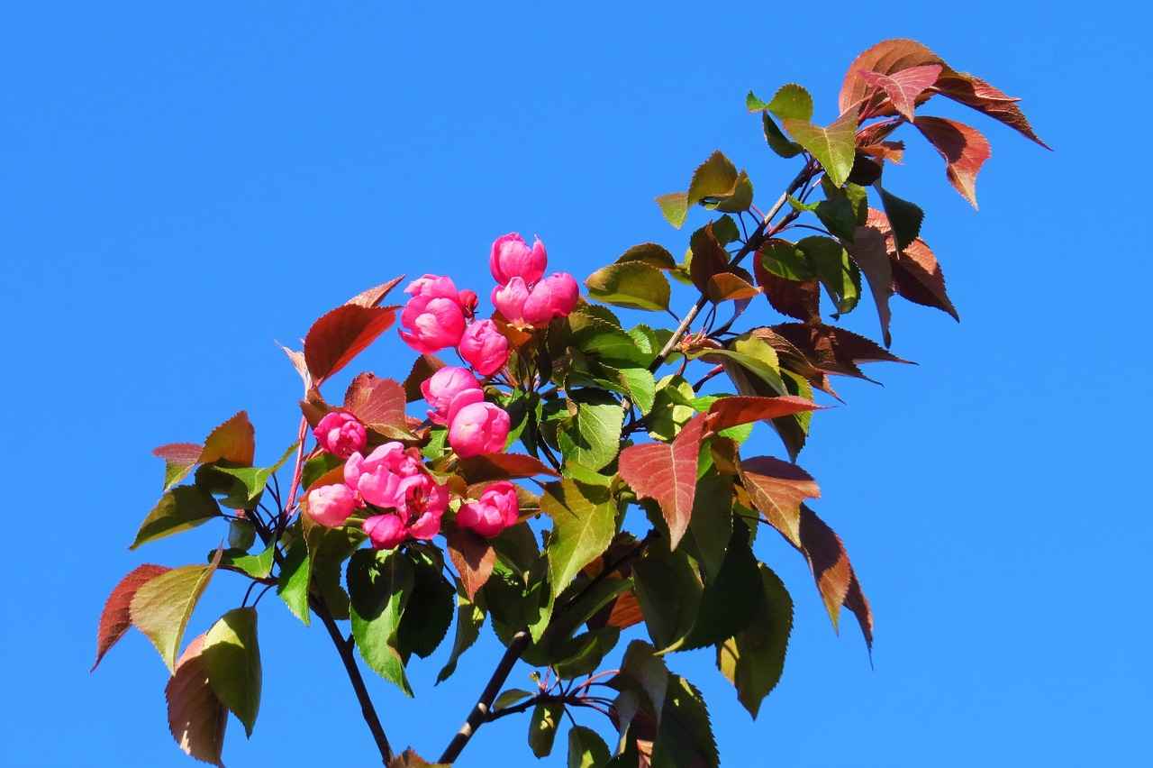 Türkiye'de Uyuşturucu Yasaları